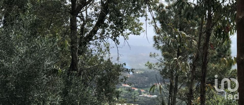 Terreno em Monchique de 4 280 m²