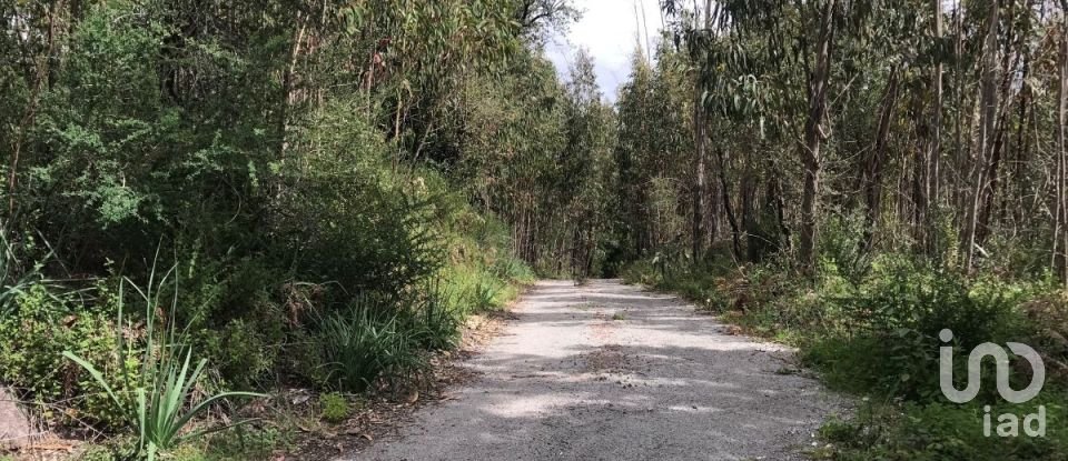 Terreno em Monchique de 4 280 m²