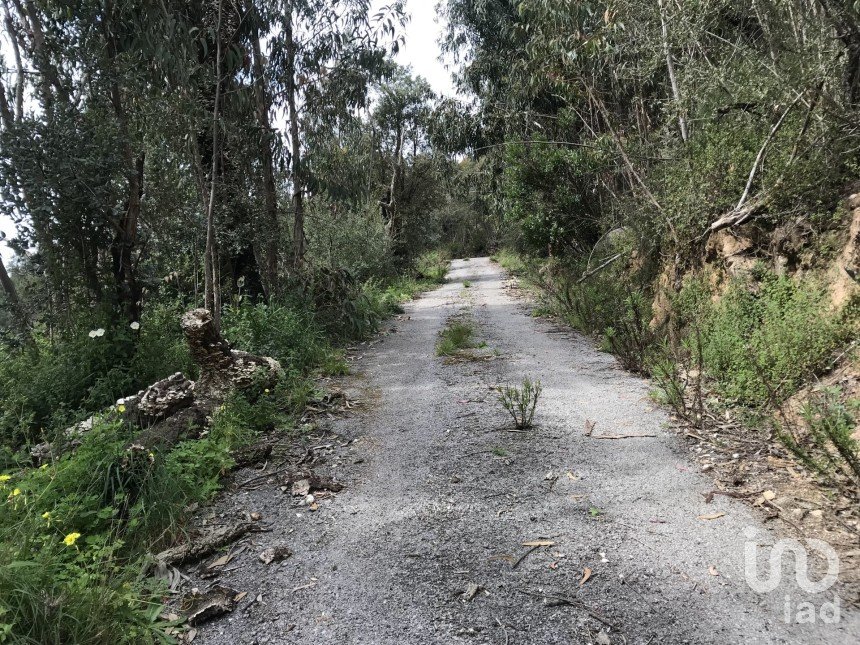 Terreno em Monchique de 4 280 m²