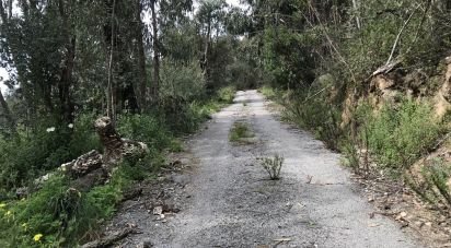 Terrain à Monchique de 4 280 m²