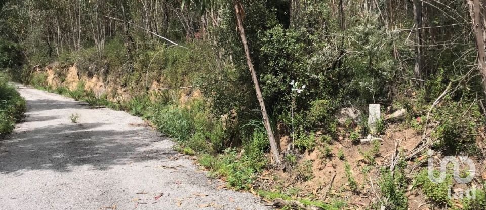 Terreno em Monchique de 4 280 m²