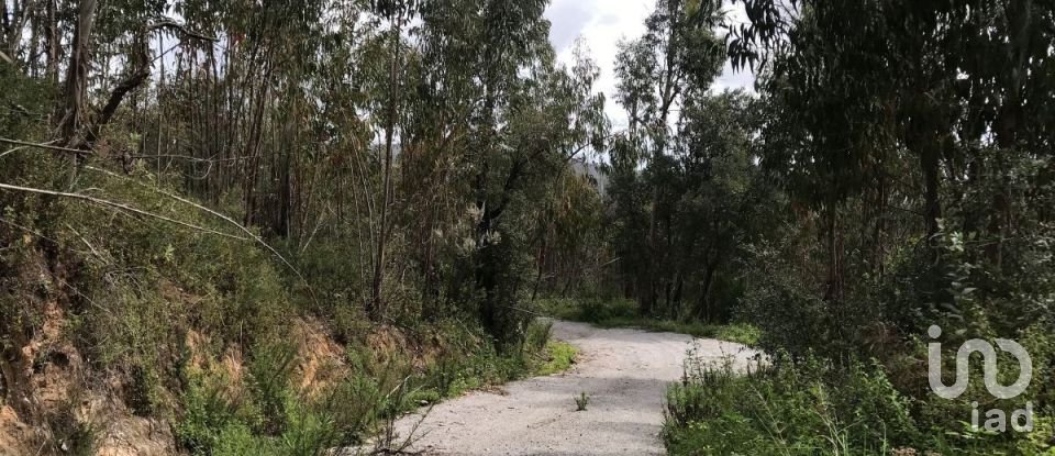 Terreno em Monchique de 4 280 m²