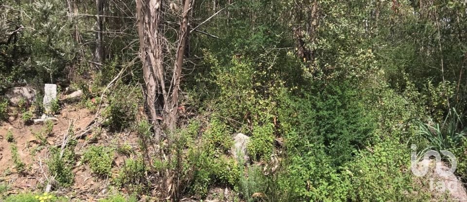 Terreno em Monchique de 4 280 m²