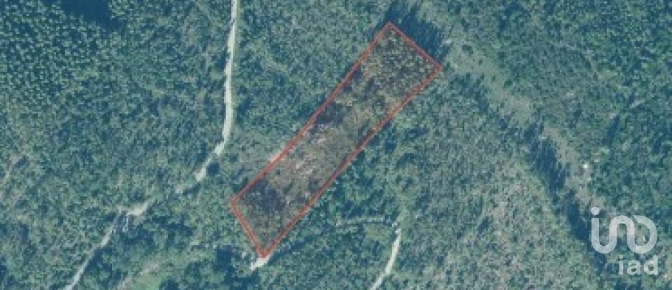 Terreno em Monchique de 4 280 m²