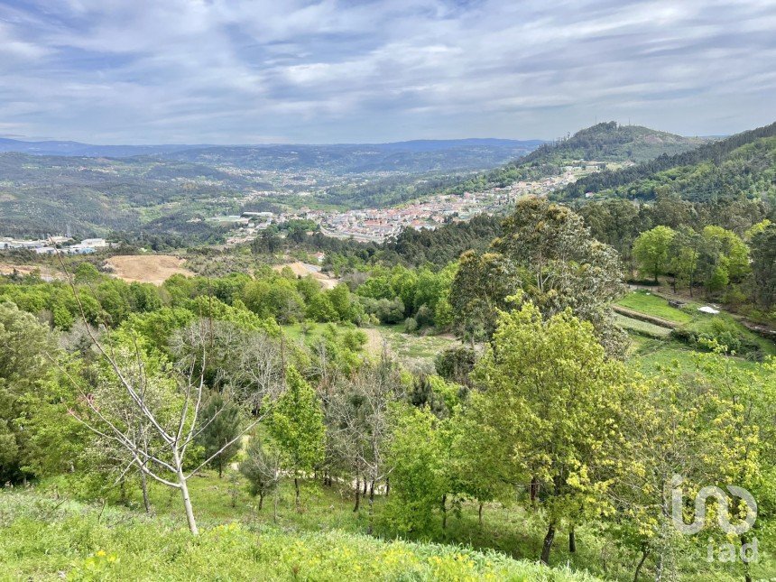Terrain à Vouzela e Paços de Vilharigues de 28 000 m²