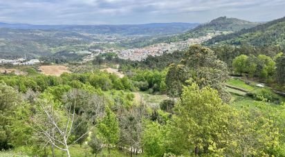 Terrain à Vouzela e Paços de Vilharigues de 28 000 m²