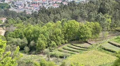 Terrain à Vouzela e Paços de Vilharigues de 28 000 m²