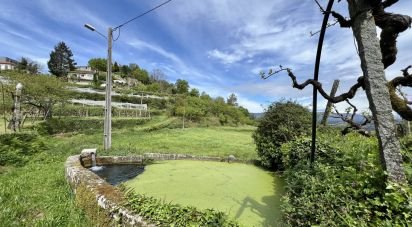 Land in Vouzela e Paços de Vilharigues of 28,000 m²