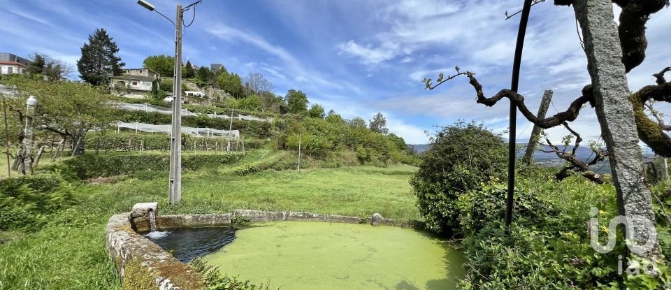 Terrain à Vouzela e Paços de Vilharigues de 28 000 m²