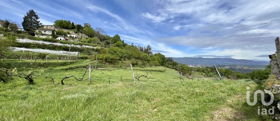 Terrain à Vouzela e Paços de Vilharigues de 28 000 m²