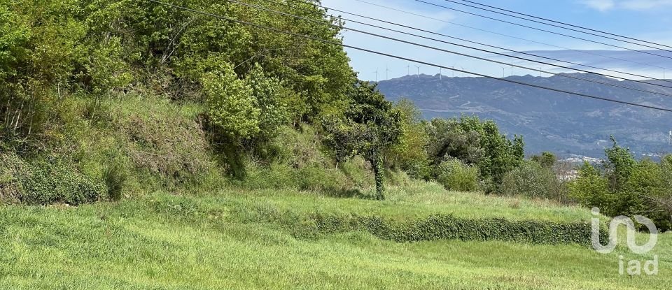 Terrain à Vouzela e Paços de Vilharigues de 28 000 m²