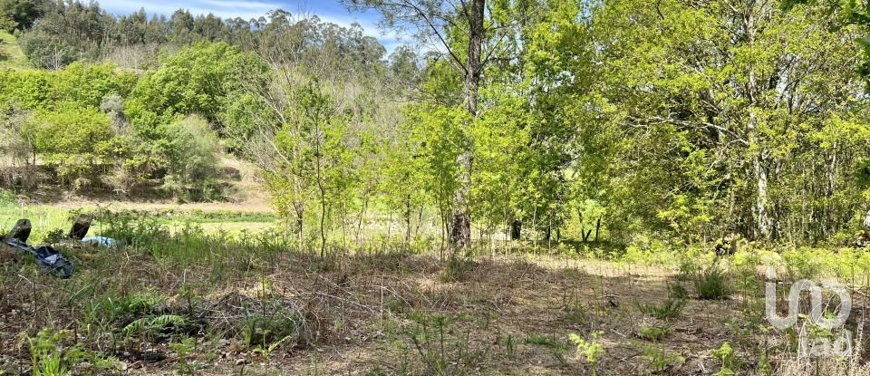 Terrain à Vouzela e Paços de Vilharigues de 28 000 m²