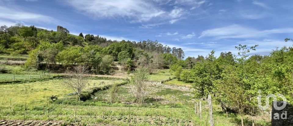 Terrain à Vouzela e Paços de Vilharigues de 28 000 m²