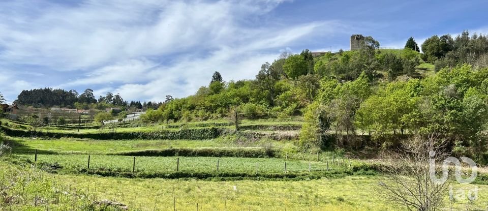 Terrain à Vouzela e Paços de Vilharigues de 28 000 m²