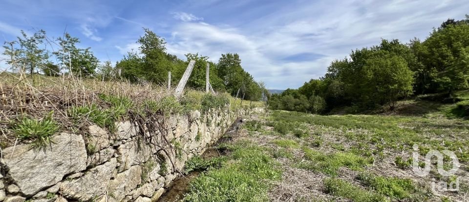 Terrain à Vouzela e Paços de Vilharigues de 28 000 m²