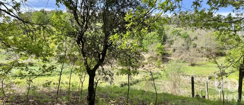 Terrain à Vouzela e Paços de Vilharigues de 28 000 m²