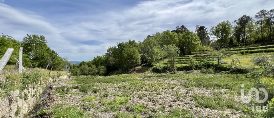 Terreno em Vouzela e Paços de Vilharigues de 28 000 m²