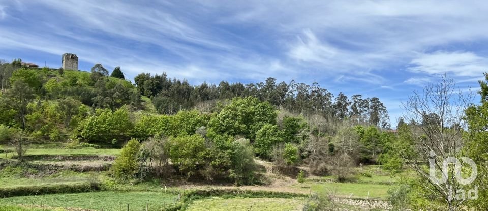 Terrain à Vouzela e Paços de Vilharigues de 28 000 m²