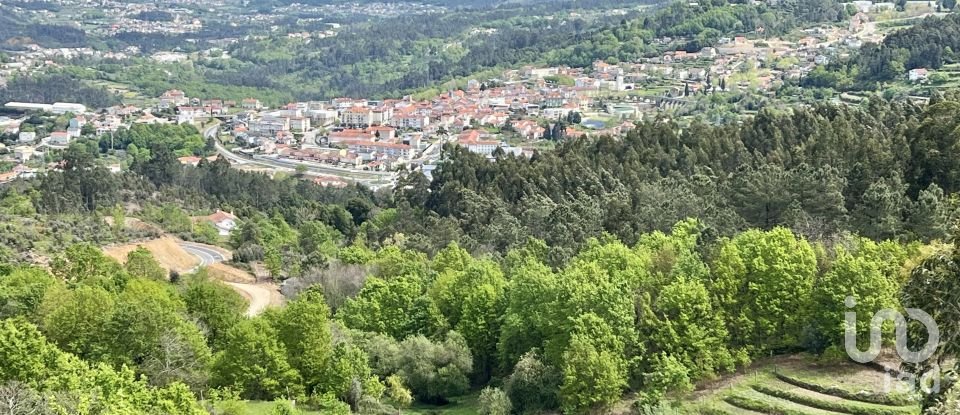 Terrain à Vouzela e Paços de Vilharigues de 28 000 m²