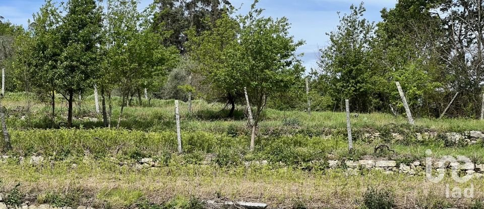 Terrain à Vouzela e Paços de Vilharigues de 28 000 m²