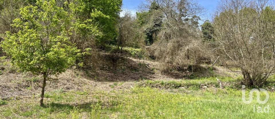 Terrain à Vouzela e Paços de Vilharigues de 28 000 m²