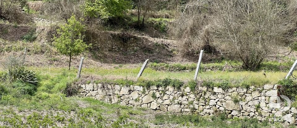 Terrain à Vouzela e Paços de Vilharigues de 28 000 m²