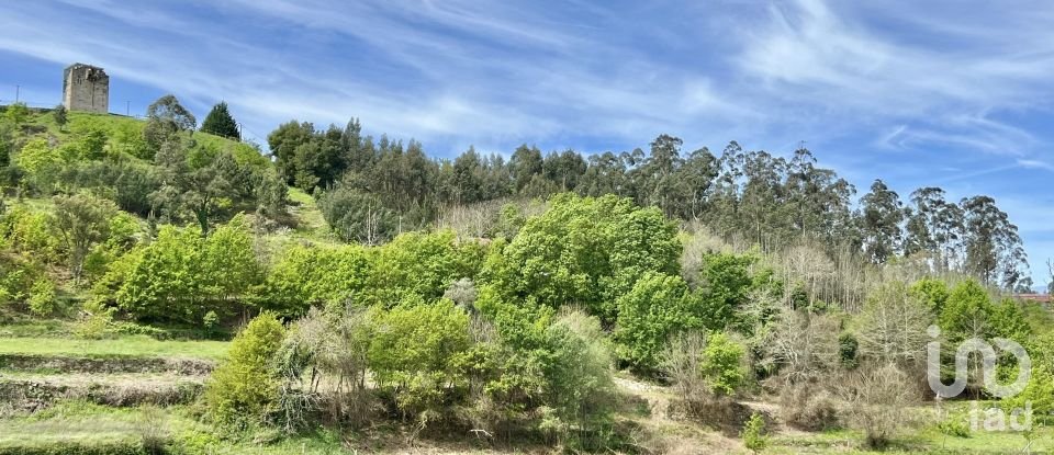 Terrain à Vouzela e Paços de Vilharigues de 28 000 m²