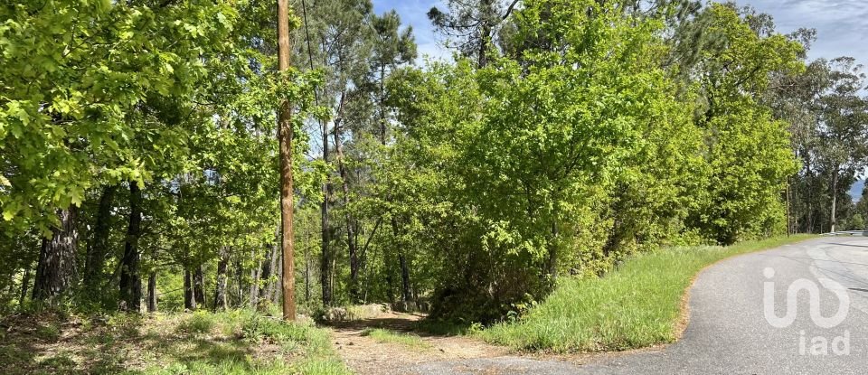 Terrain à Vouzela e Paços de Vilharigues de 28 000 m²