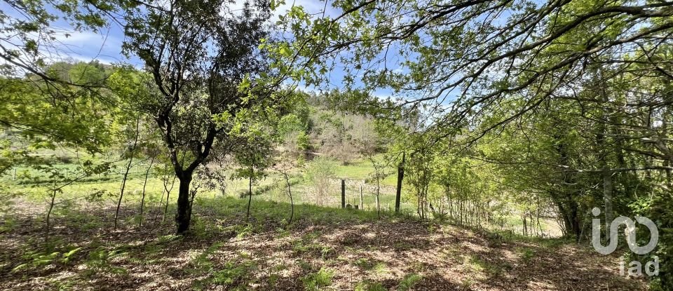 Terrain à Vouzela e Paços de Vilharigues de 28 000 m²