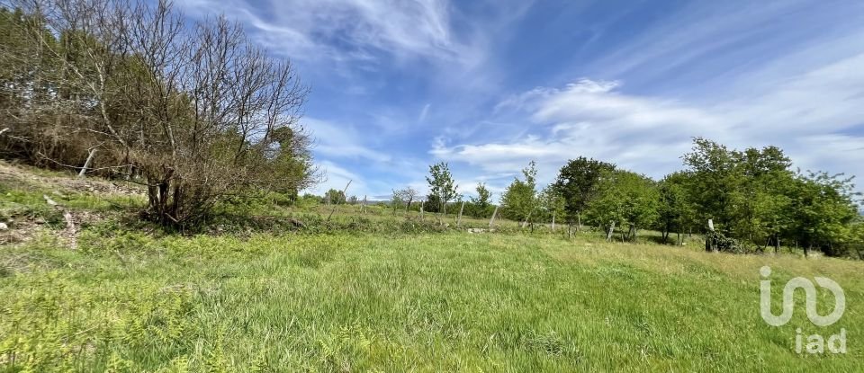 Terrain à Vouzela e Paços de Vilharigues de 28 000 m²