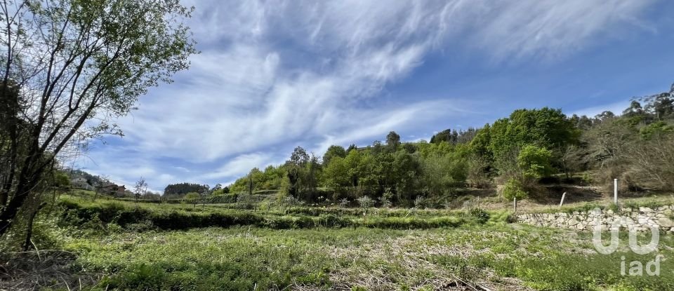 Terrain à Vouzela e Paços de Vilharigues de 28 000 m²