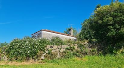 Village house T1 in Geraz Do Lima (Santa Maria, Santa Leocádia E Moreira) E Deão of 116 m²