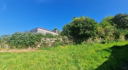 Village house T1 in Geraz Do Lima (Santa Maria, Santa Leocádia E Moreira) E Deão of 116 m²