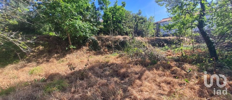 Casa de aldeia T1 em Geraz Do Lima (Santa Maria, Santa Leocádia E Moreira) E Deão de 116 m²