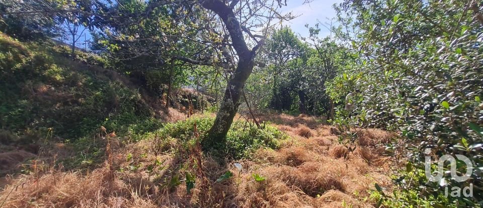 Casa de aldeia T1 em Geraz Do Lima (Santa Maria, Santa Leocádia E Moreira) E Deão de 116 m²