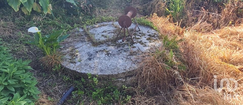 Casa de aldeia T1 em Geraz Do Lima (Santa Maria, Santa Leocádia E Moreira) E Deão de 116 m²