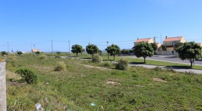 Terrain à Silveira de 388 m²