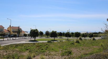 Terrain à Silveira de 462 m²