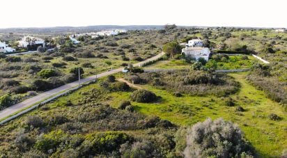 Terrain Loisirs à Bensafrim e Barão de São João de 16 280 m²