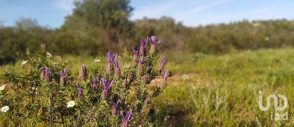 Terrain Loisirs à Bensafrim e Barão de São João de 16 280 m²