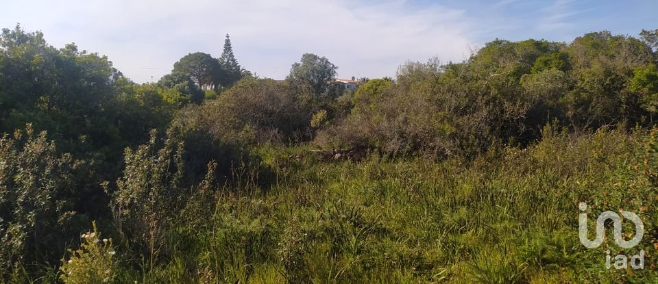 Terrain Loisirs à Bensafrim e Barão de São João de 16 280 m²