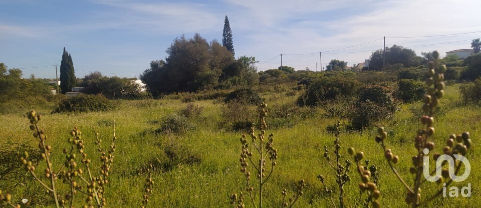 Terrain Loisirs à Bensafrim e Barão de São João de 16 280 m²