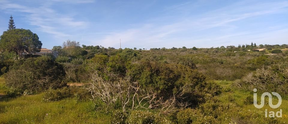 Terrain Loisirs à Bensafrim e Barão de São João de 16 280 m²