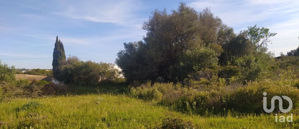 Terrain Loisirs à Bensafrim e Barão de São João de 16 280 m²