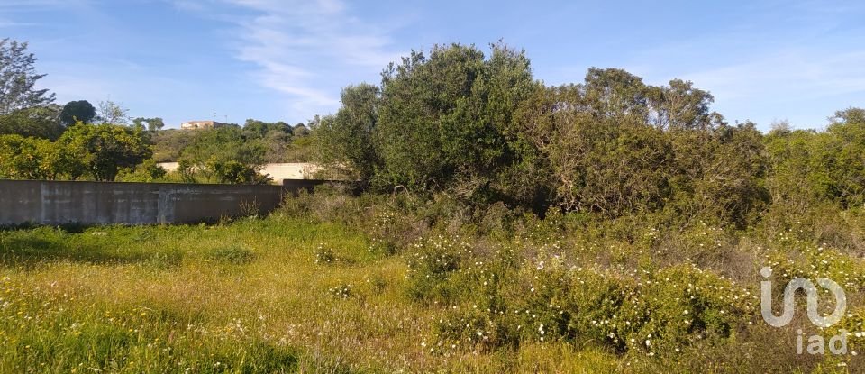 Terrain Loisirs à Bensafrim e Barão de São João de 16 280 m²