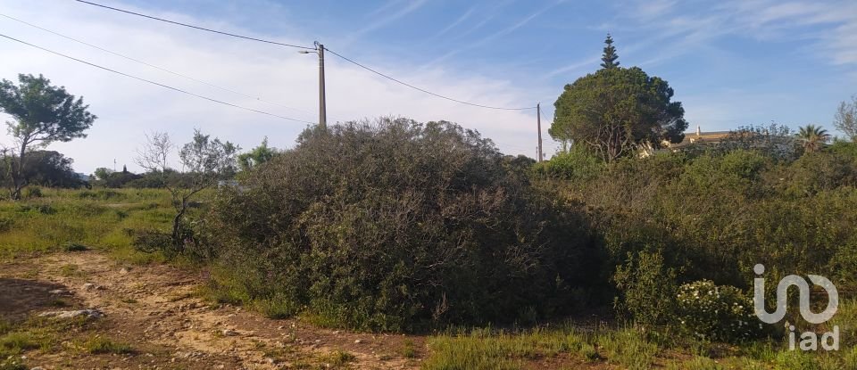 Terrain Loisirs à Bensafrim e Barão de São João de 16 280 m²