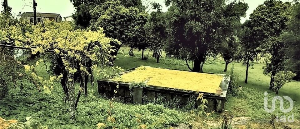 Ferme T4 à Grade e Carralcova de 327 m²