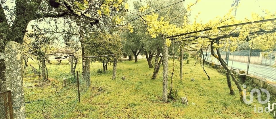 Ferme T4 à Grade e Carralcova de 327 m²