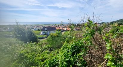 Building plot in Areosa of 5,338 m²