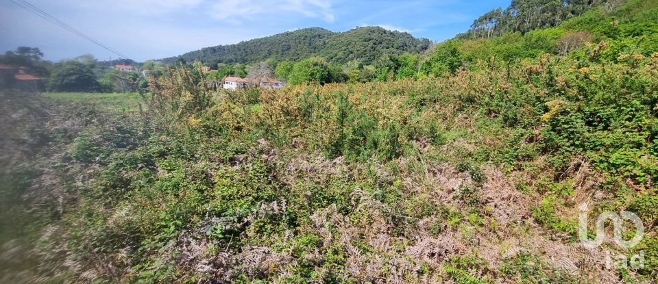 Building plot in Areosa of 5,338 m²